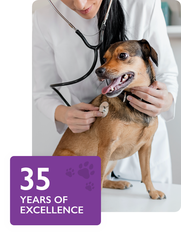 About Us - Veterinary Instrumentation